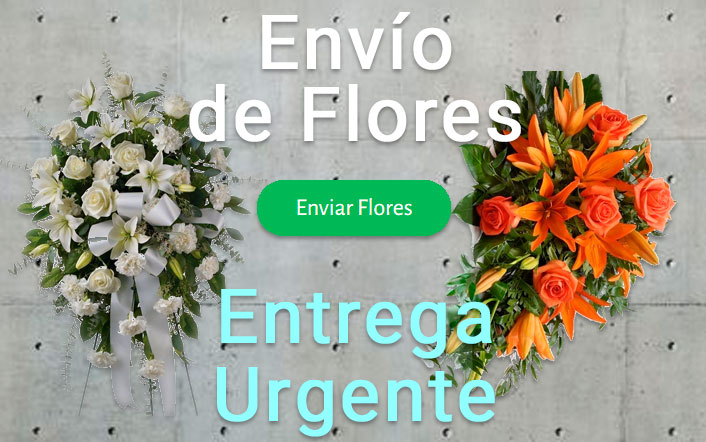 Envio flores difunto urgente a Tanatorio Palma de Mallorca